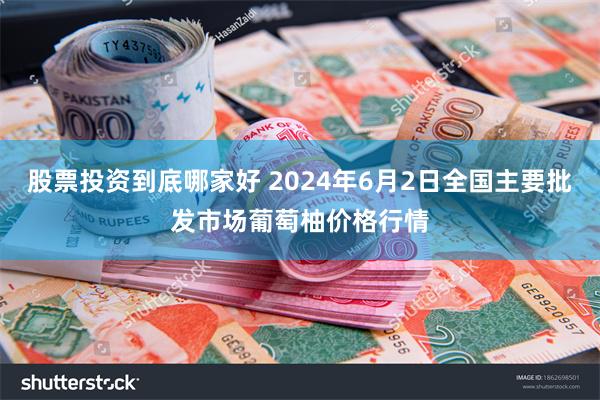 股票投资到底哪家好 2024年6月2日全国主要批发市场葡萄柚价格行情